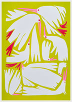 RISO-Birdie