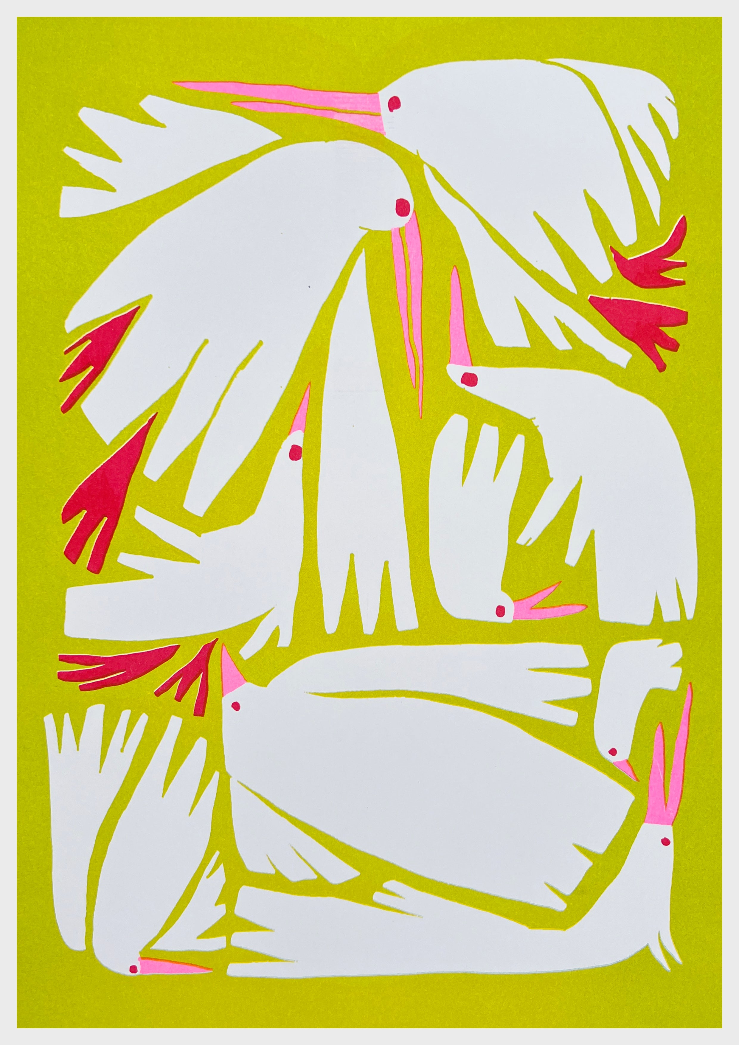 RISO-Birdie