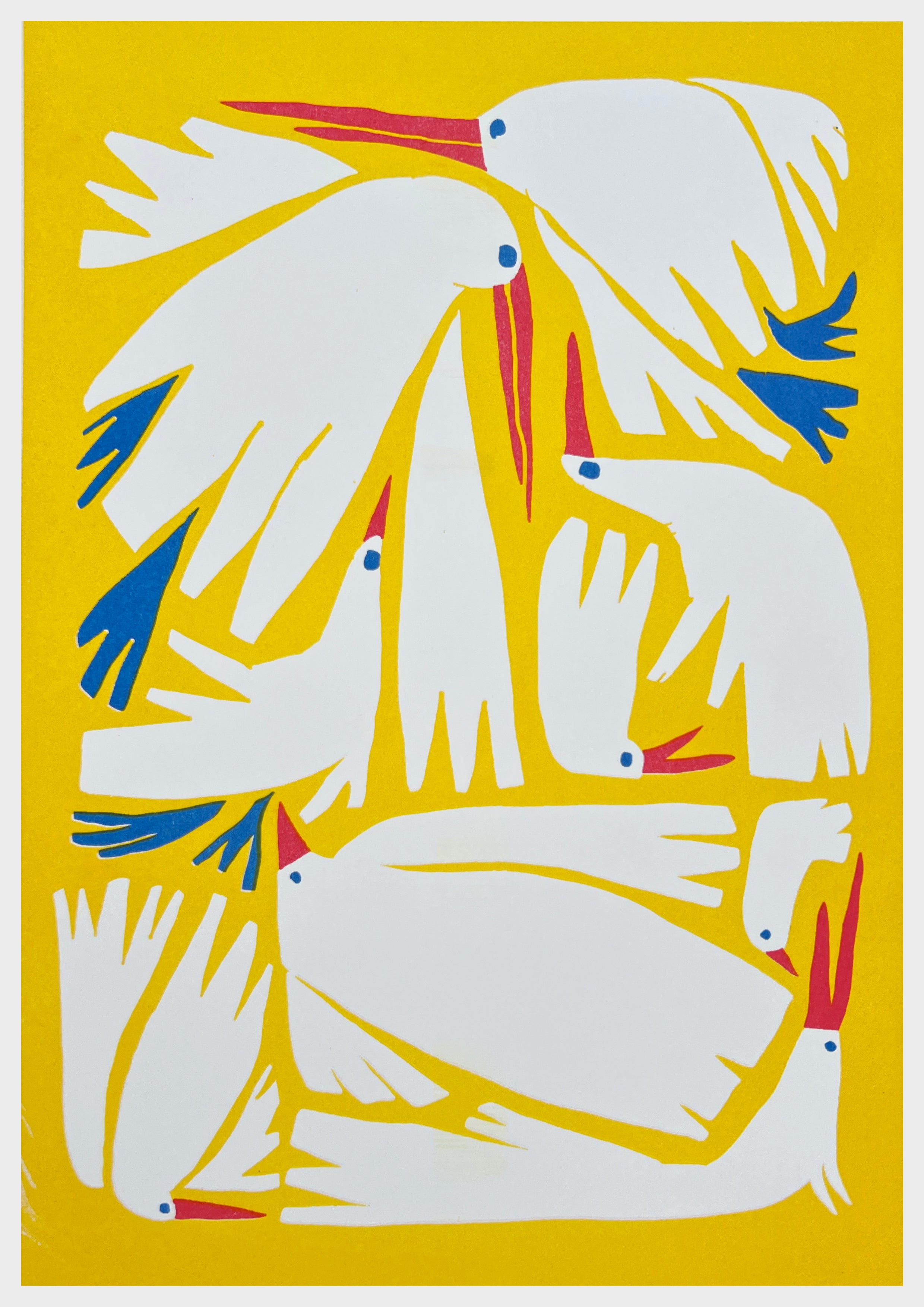 RISO-Birdie