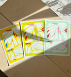 RISO-Birdie